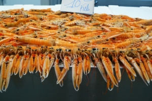 shrimp-249152_1280
