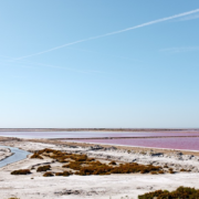 LG Energy Solution sichert Lithiumversorgung aus Chile