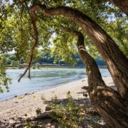 LG kauft Lithium aus dem Rhein