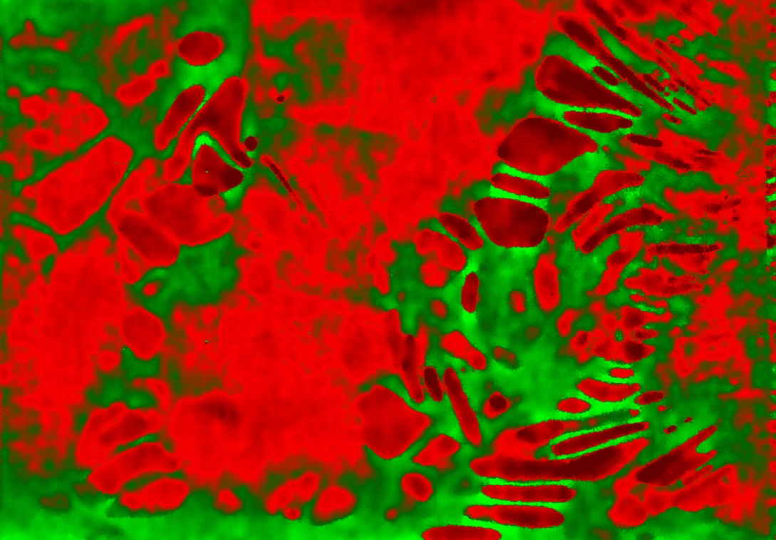 ImageJ=1.53c