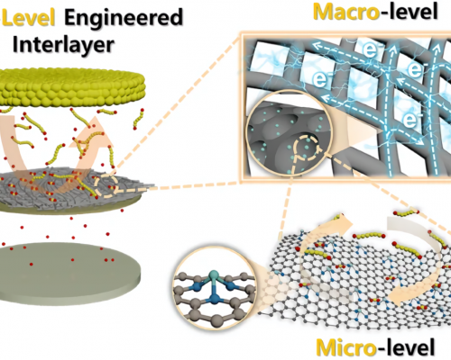 Forschende aus Korea entwickeln Material für Lithium-Schwefel-Batterien