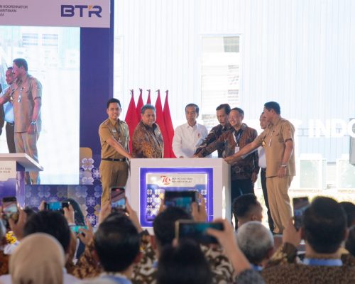 BTR's Indonesian Facility Becomes Largest Anode Plant Outside China