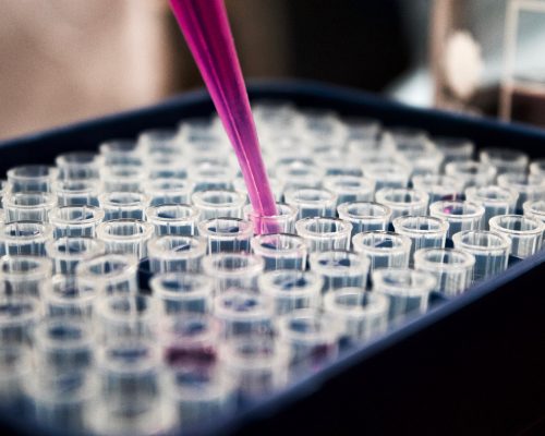 Zukunft der Batterie – Die Bio-Batterie