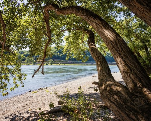 LG kauft Lithium aus dem Rhein