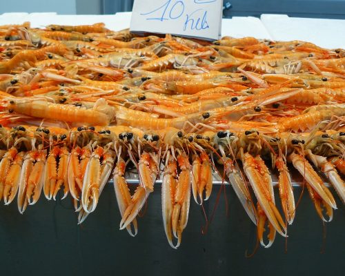 Fischindustrie Abfälle für neue Batterieelektrode