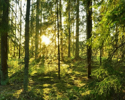 Verband „Autoregion“ fordert saarländische Investition